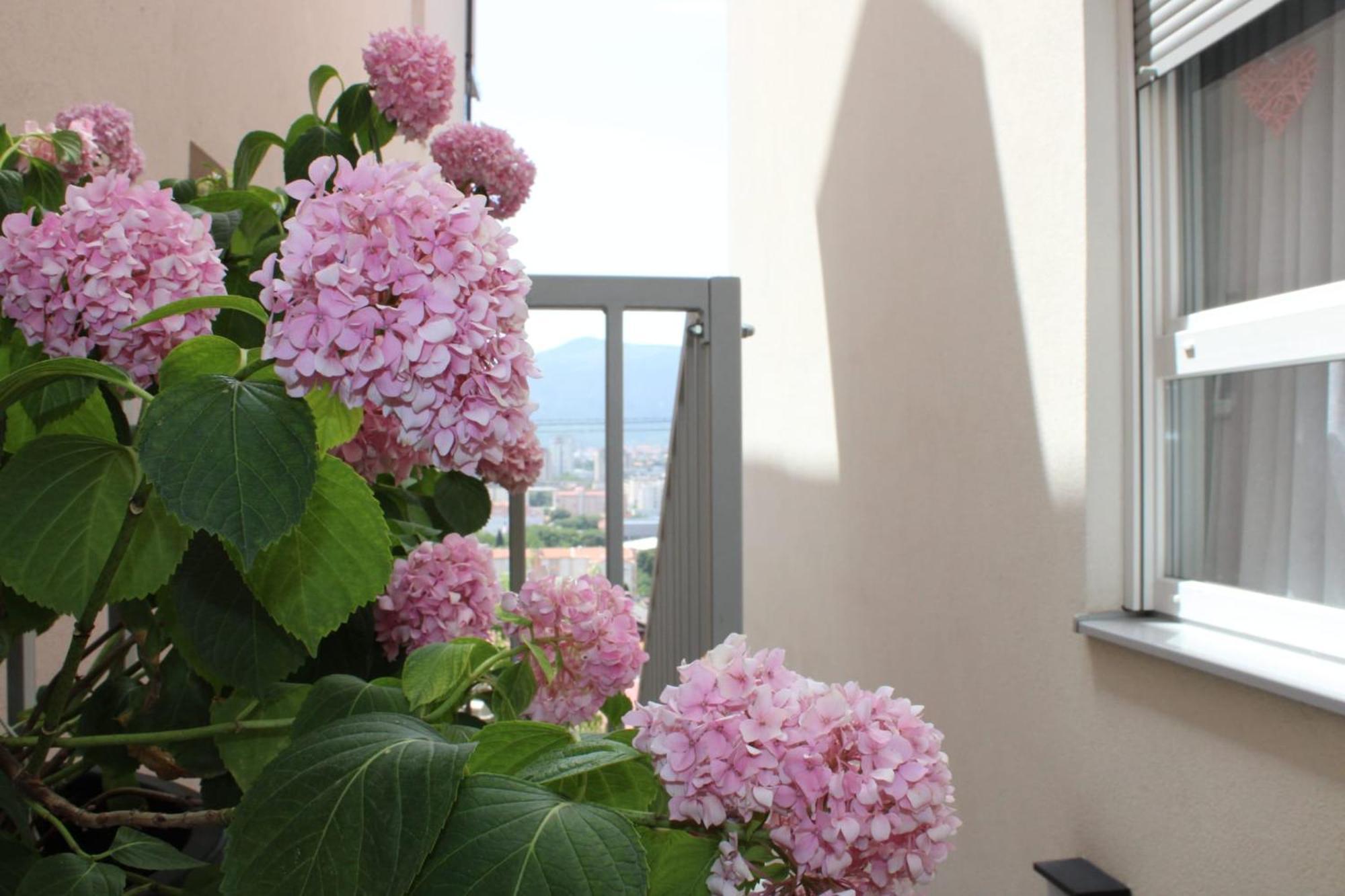 Apartment Merry - Free Garage & Parking Mostar Bagian luar foto