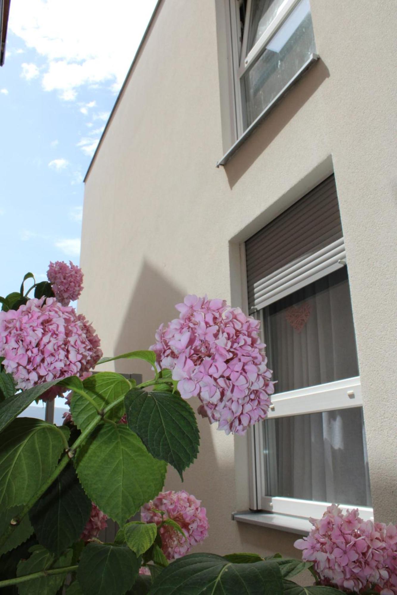 Apartment Merry - Free Garage & Parking Mostar Bagian luar foto